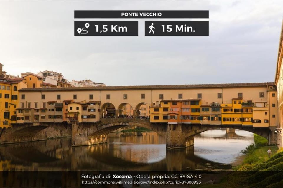 Ridolfi's House Apartment in Florence