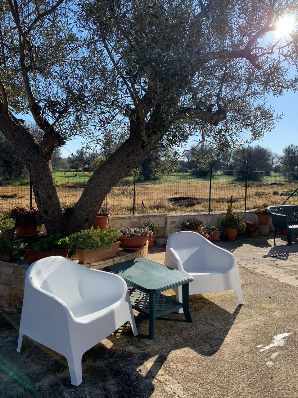 Spring, Day, Garden, Garden view