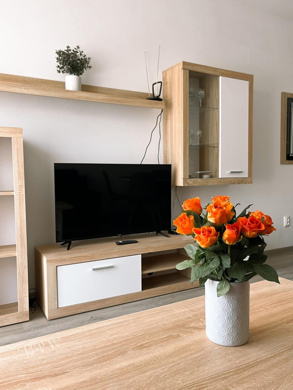 TV and multimedia