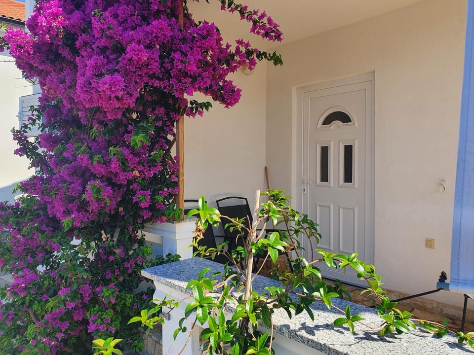 Balcony/Terrace, Garden view