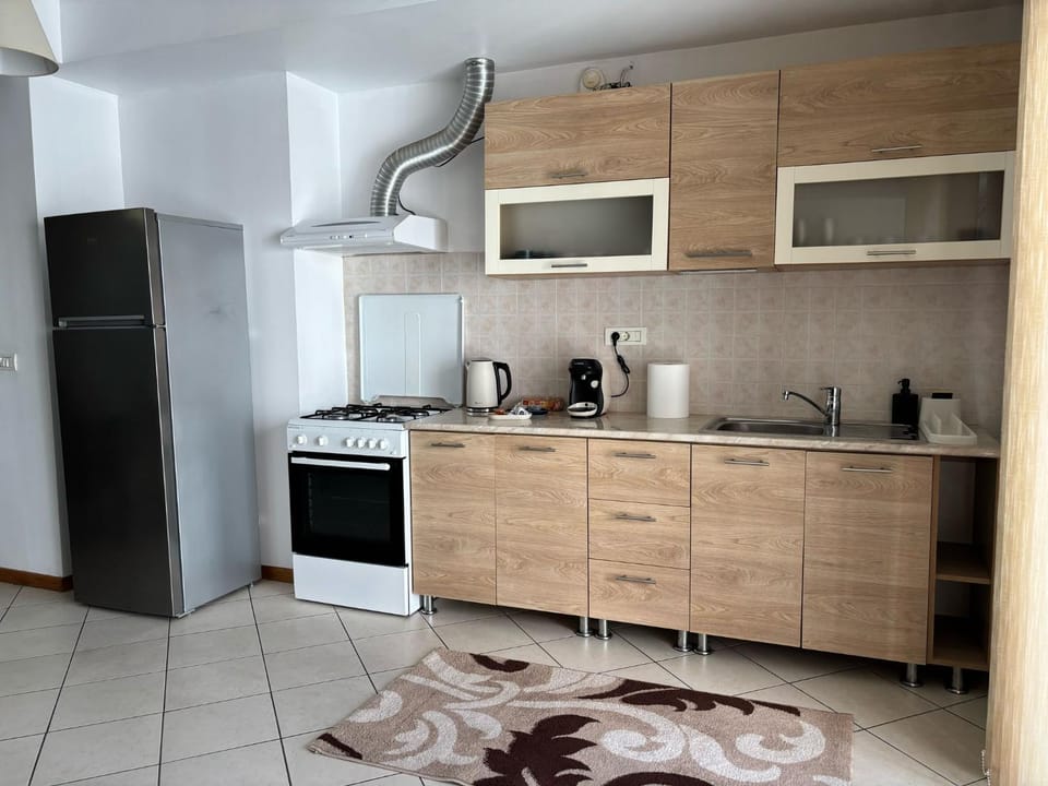 RingMo Apartment Apartment in Timisoara