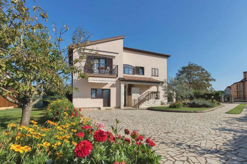 Property building, Summer, Garden