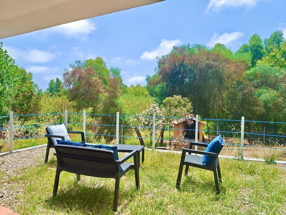 Patio, Garden, Garden, Dining area, Garden view