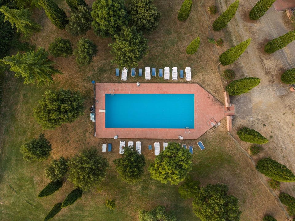 Spring, Day, Natural landscape, Bird's eye view, Garden, Garden view, Pool view, Swimming pool, Swimming pool, sunbed