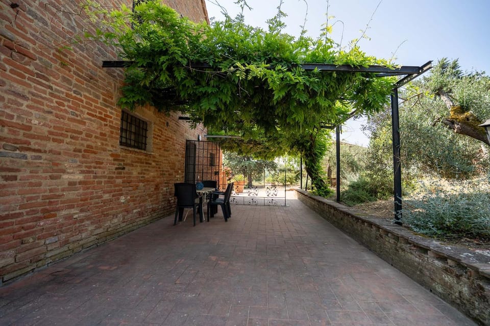 Patio, Day, Garden, Garden view