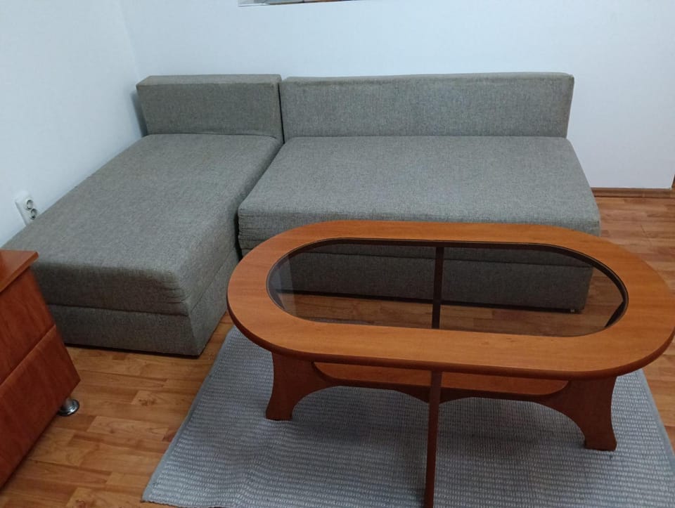 Gara mare 2 camere Apartment in Romania