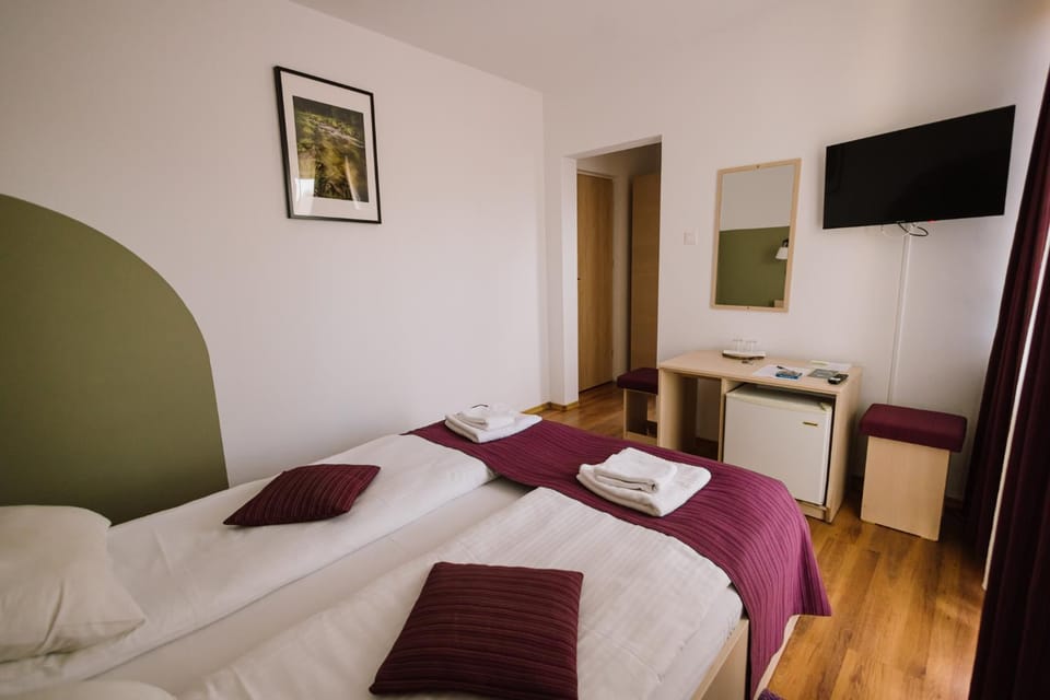 Vila Rigo Sovata Bed and Breakfast in Romania