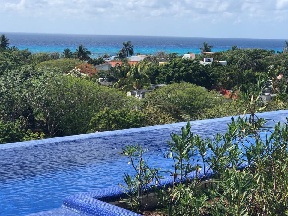 Pool view, Swimming pool
