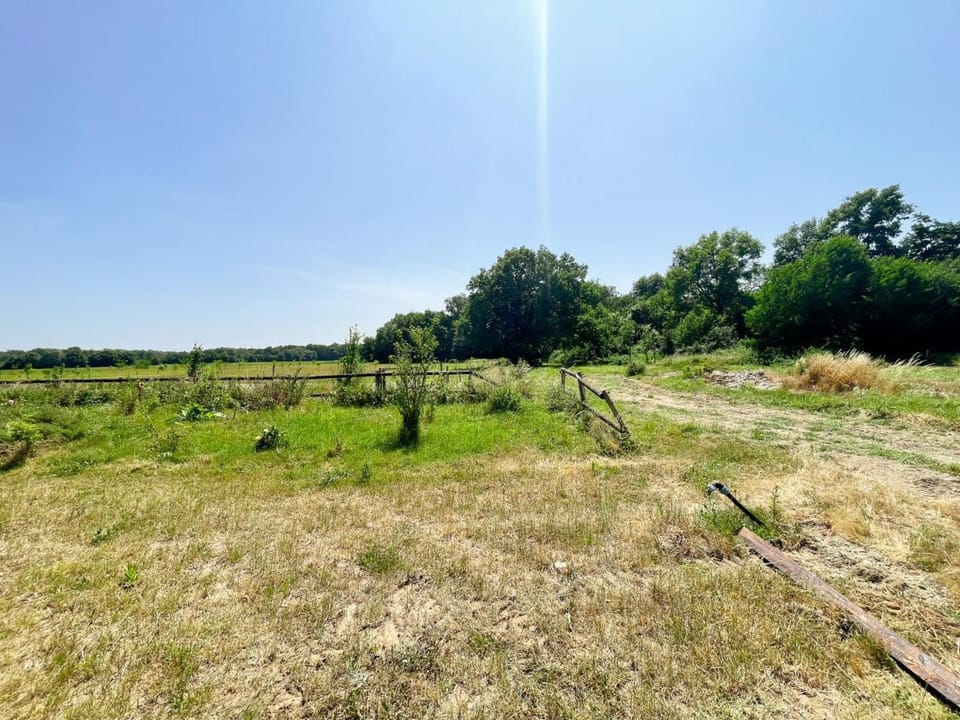 Gîte avec jardin privé, proche des châteaux, animaux admis - FR-1-381-627 House in Centre-Val de Loire