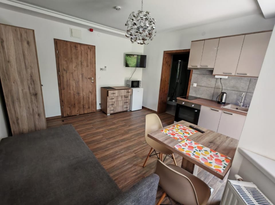 Curve 3 Studio Apartment in Hungary