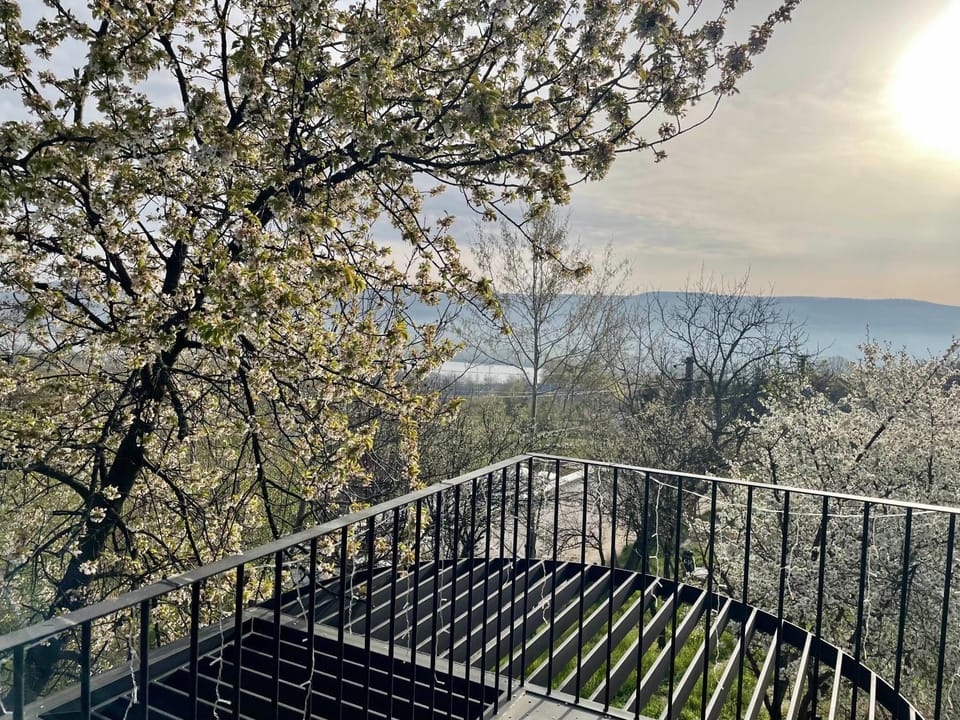Spring, View (from property/room), Balcony/Terrace