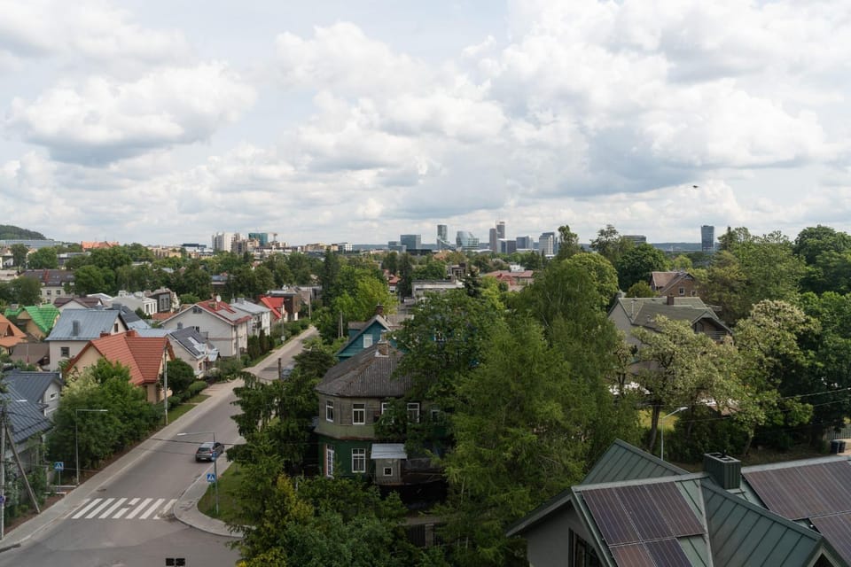 Ducks in the yard - Self Check in Apartment in Vilnius