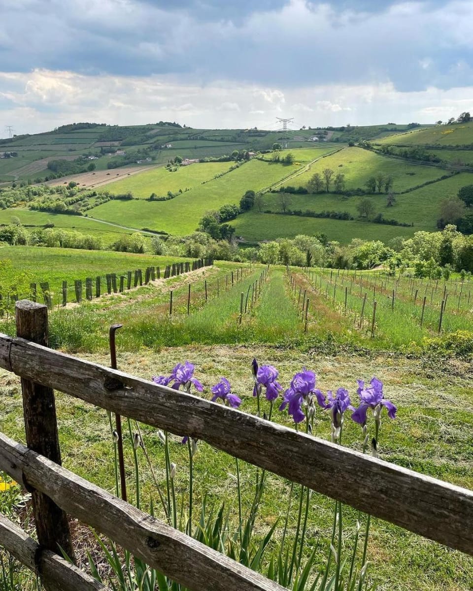 Natural landscape, Mountain view