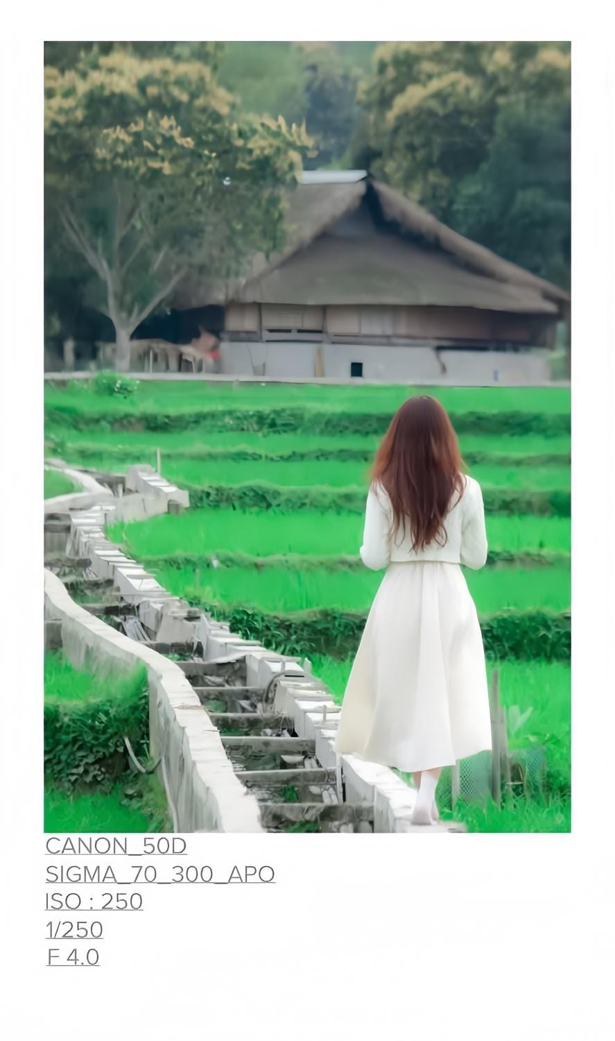 Mộc mạc nhà sàn Country House in Vietnam