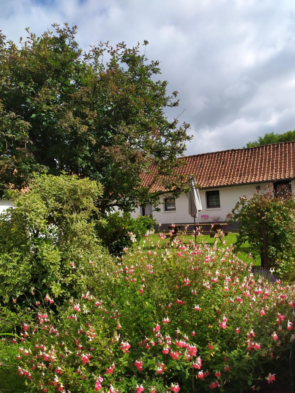 Inner courtyard view