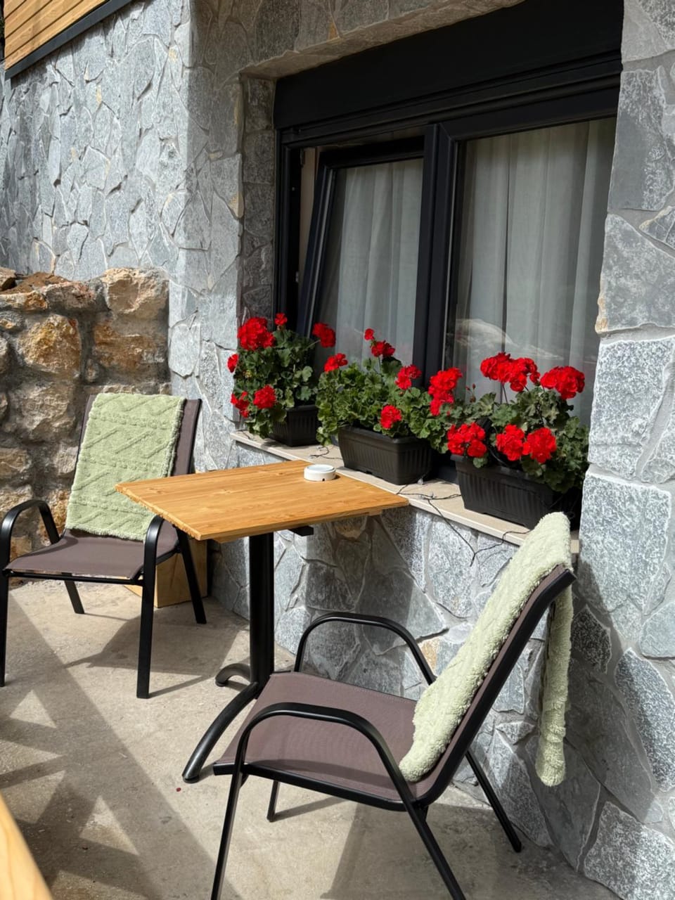 Durmitor Peaks and Pines Apartment in Montenegro