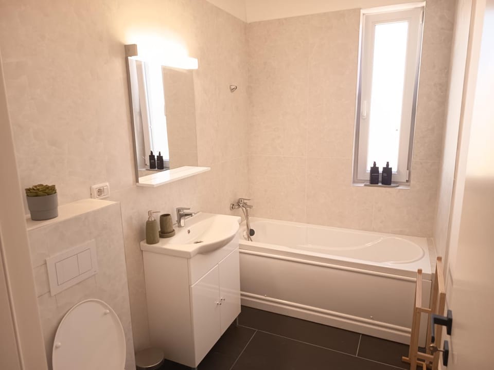 Giroc Apartment in Timisoara