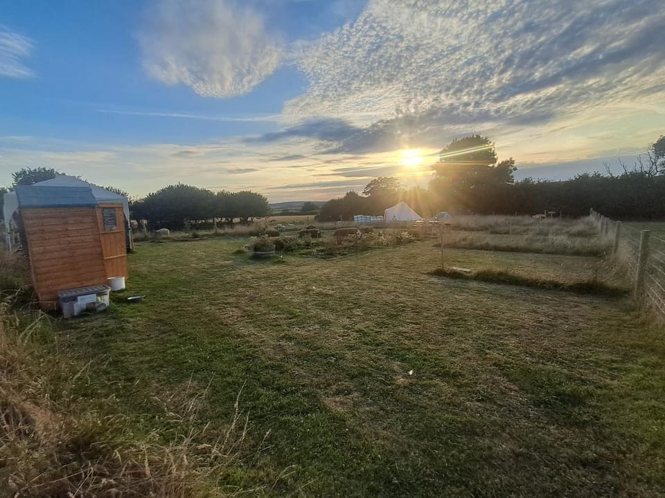 Maisie's Campsite Campground/ 
RV Resort in England