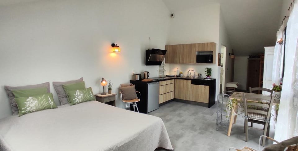Kitchen or kitchenette, Photo of the whole room, Dining area