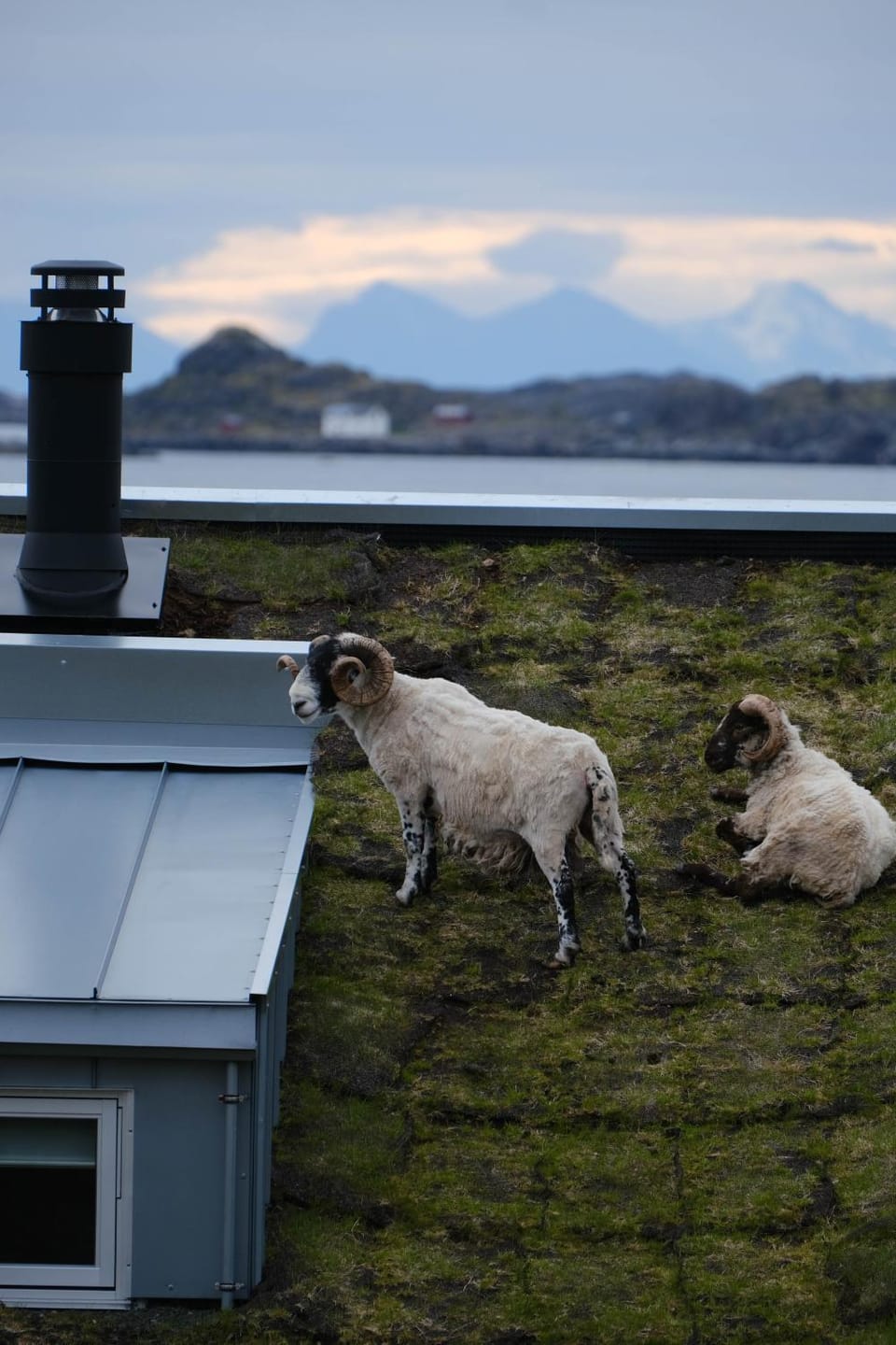 KJEØYA - Exclusive island retreat House in Lofoten