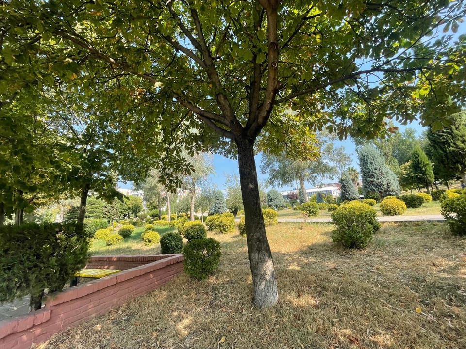 Natural landscape