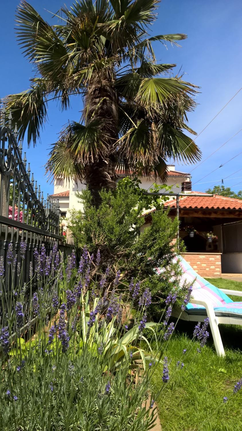 Garden, On site