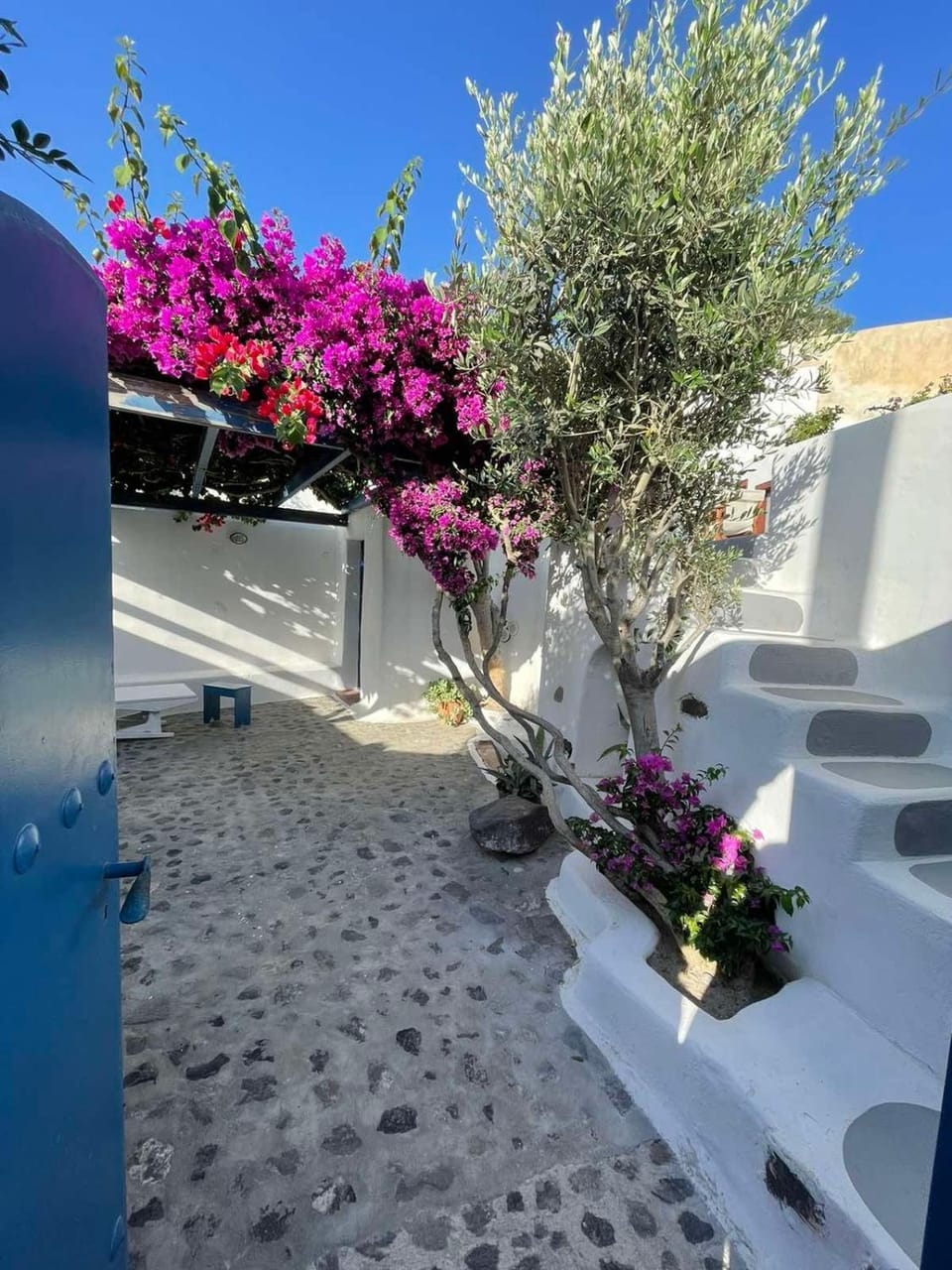 Garden, Garden view
