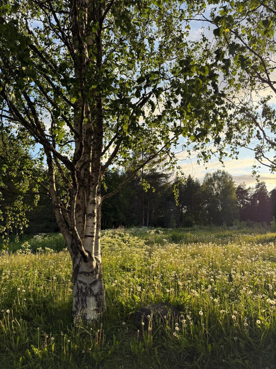 Henniina V Kotoisa - Free parking & Easy Check-in Apartment in Finland
