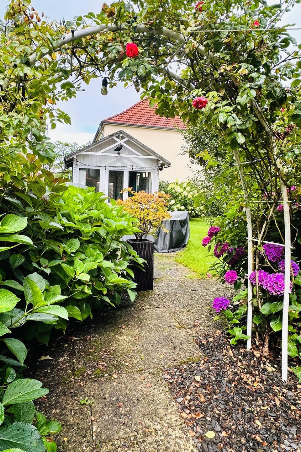 Garden, Garden, Garden view, Garden view
