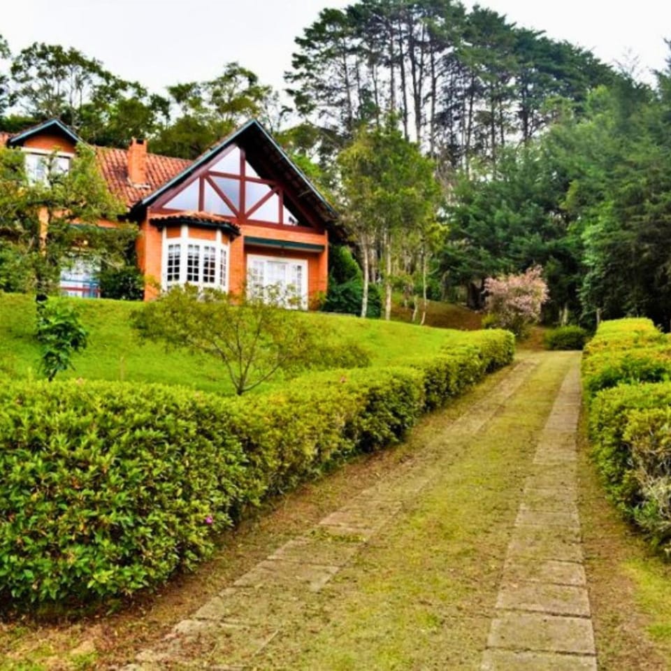 Property building, Natural landscape, Garden