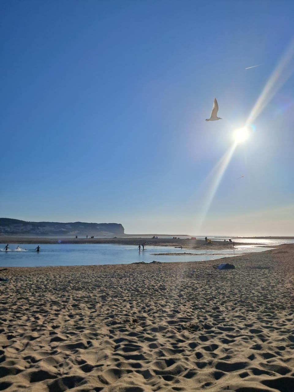 Nearby landmark, Beach