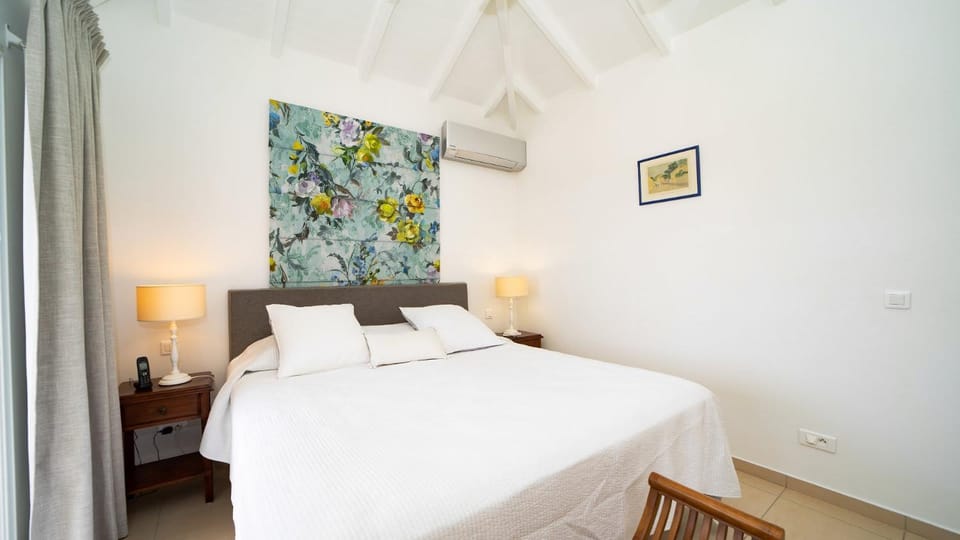 Charming St-Barts Villa with Ocean Views Villa in Gustavia