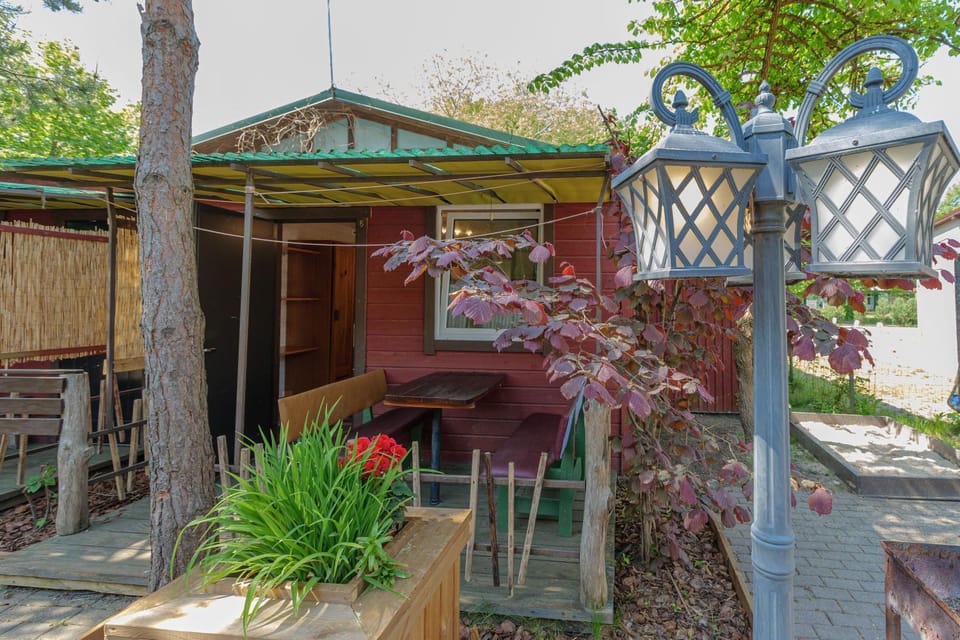 Day, Garden view