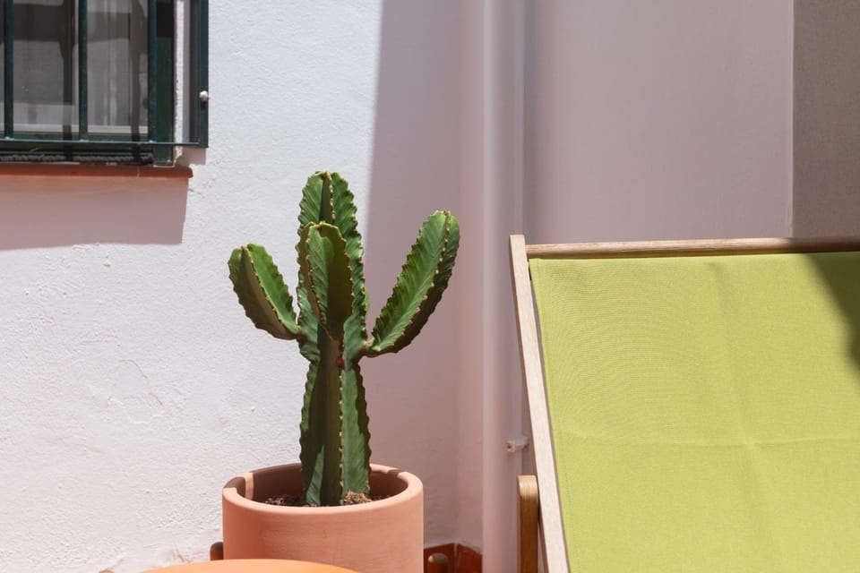 Patio, sunbed