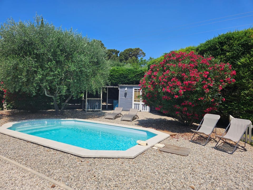 Garden, Garden view, Pool view, Swimming pool, sunbed