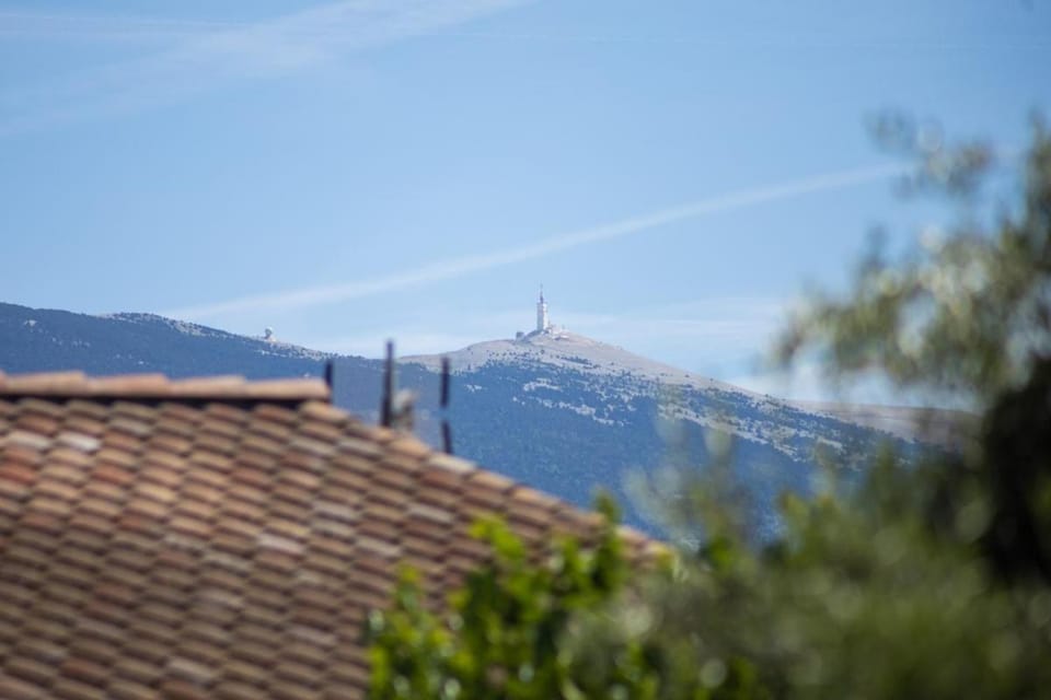 Villa de la Goutte d'Or House in Provence-Alpes-Côte d'Azur