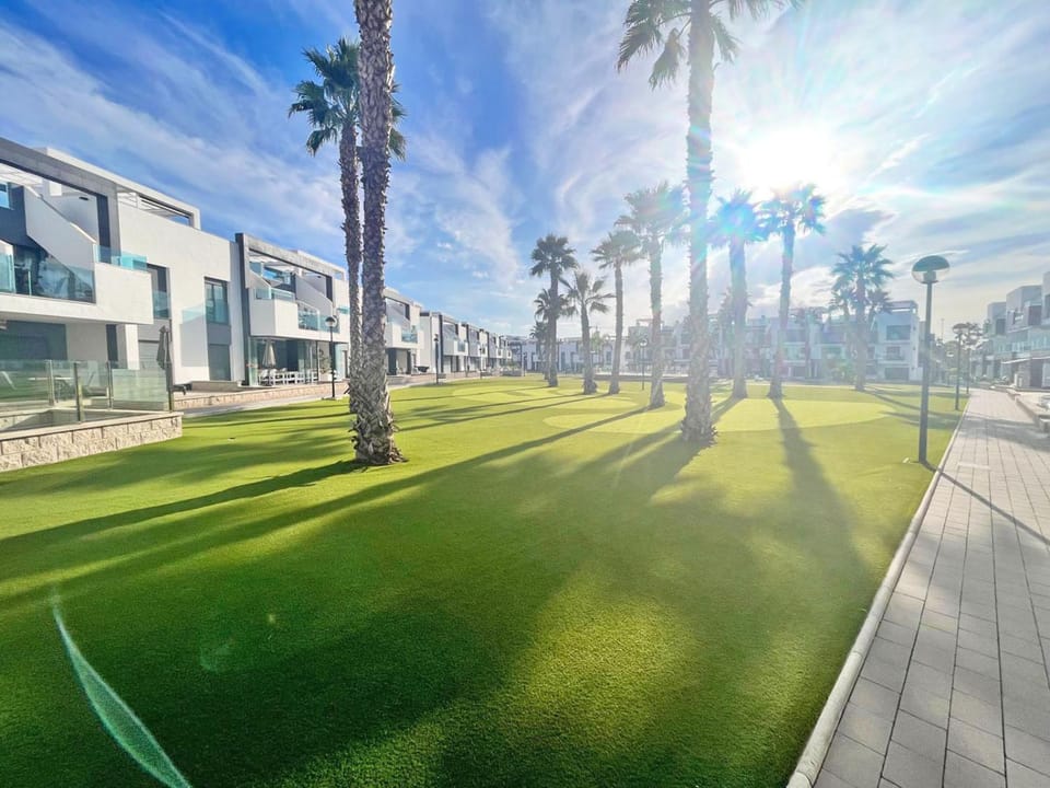 Patio, Garden, Garden view