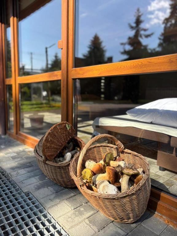 Sosnowa Polana Campground/ 
RV Resort in Poland