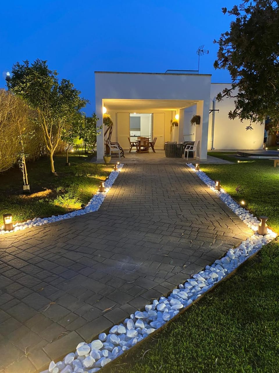 Night, Garden view