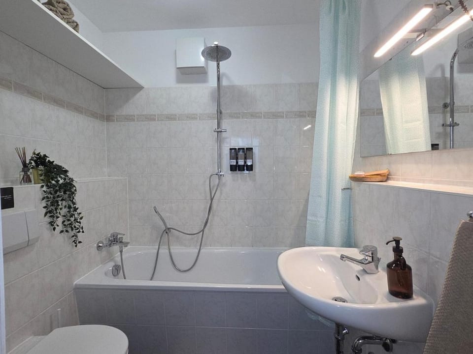 Penthouse in the Neustadt Apartment in Dresden-Neustadt
