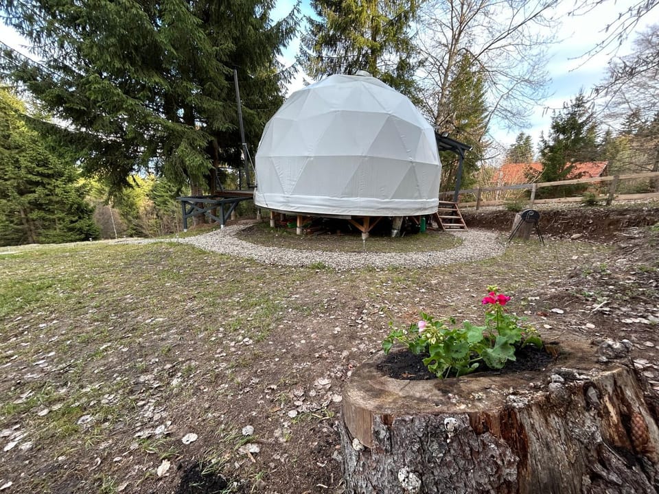 Spring, Natural landscape, Garden, Garden view