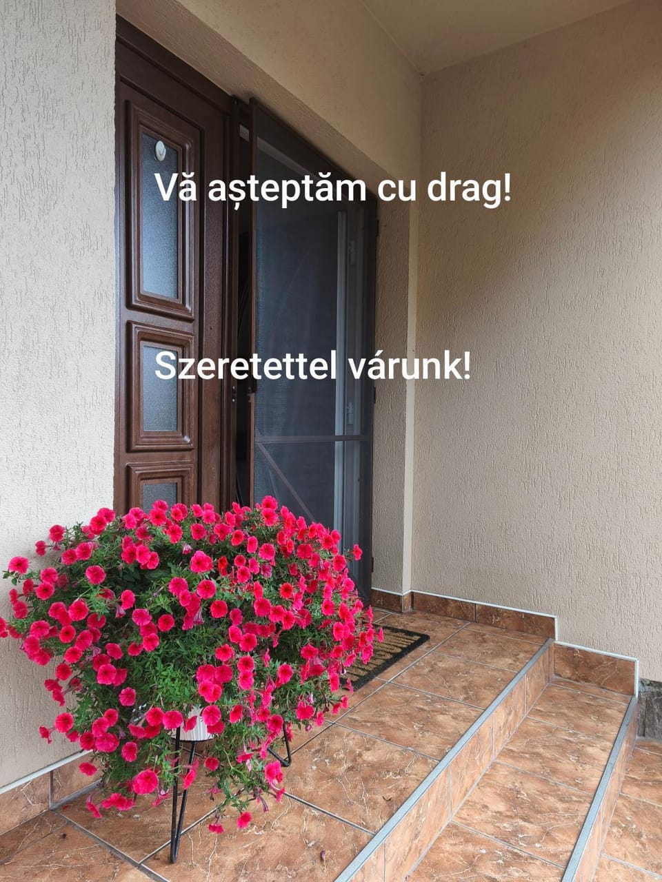 Text overlay