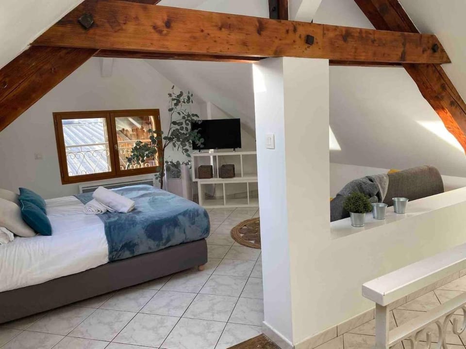 Le Refuge - intimate and central Apartment in Annecy