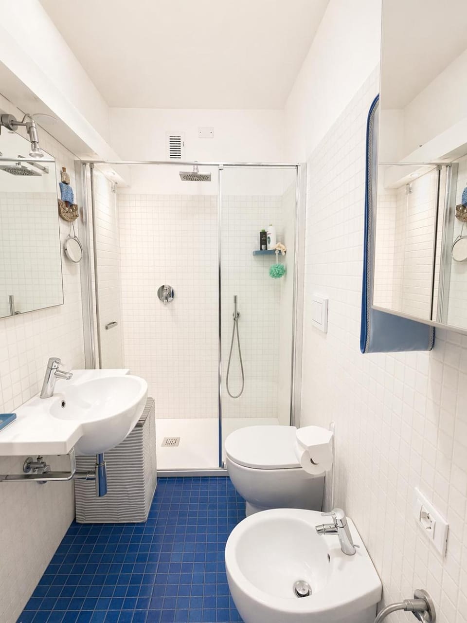 Shower, Toilet, Bathroom, bidet