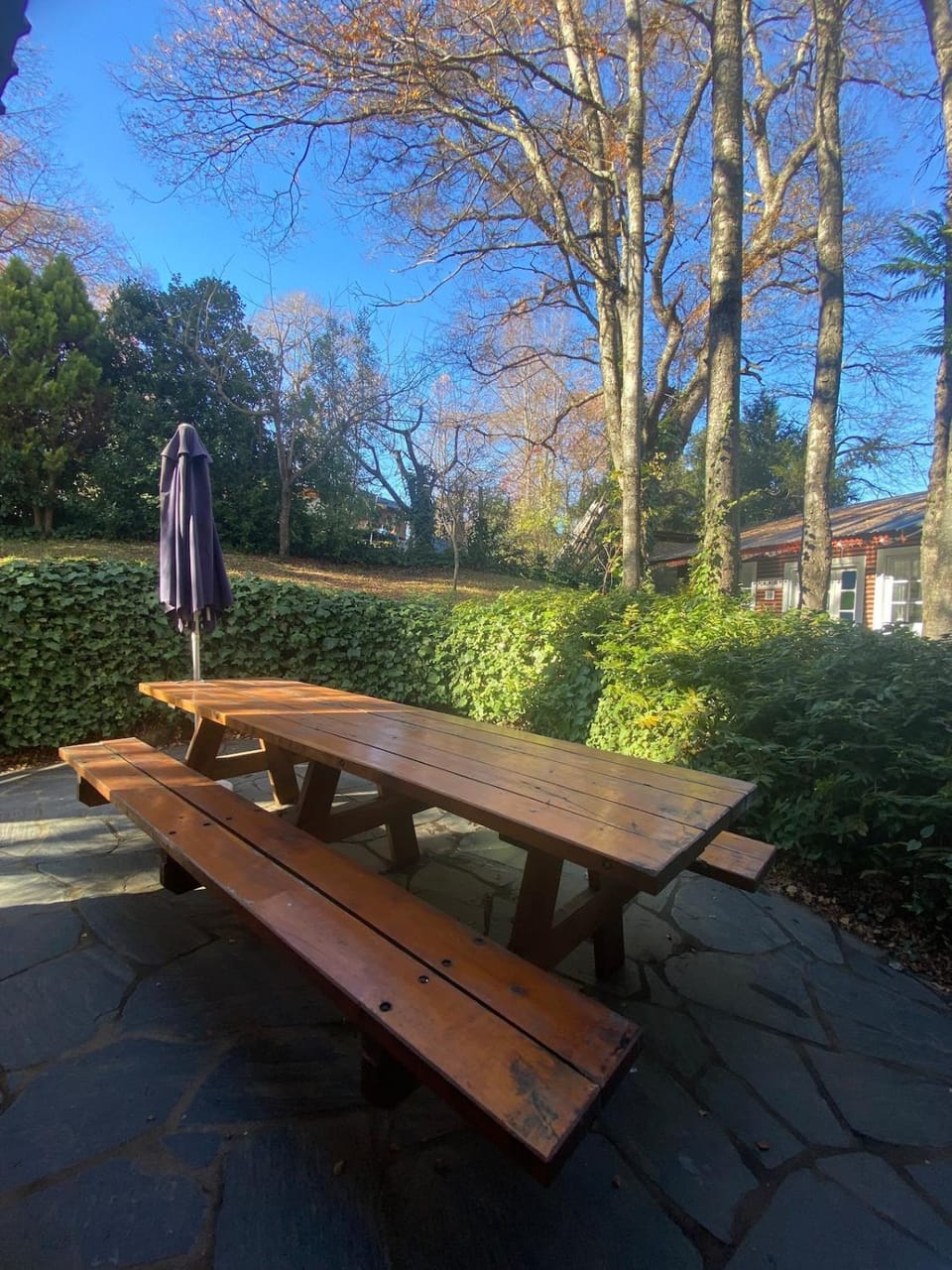 Spring, Day, Garden