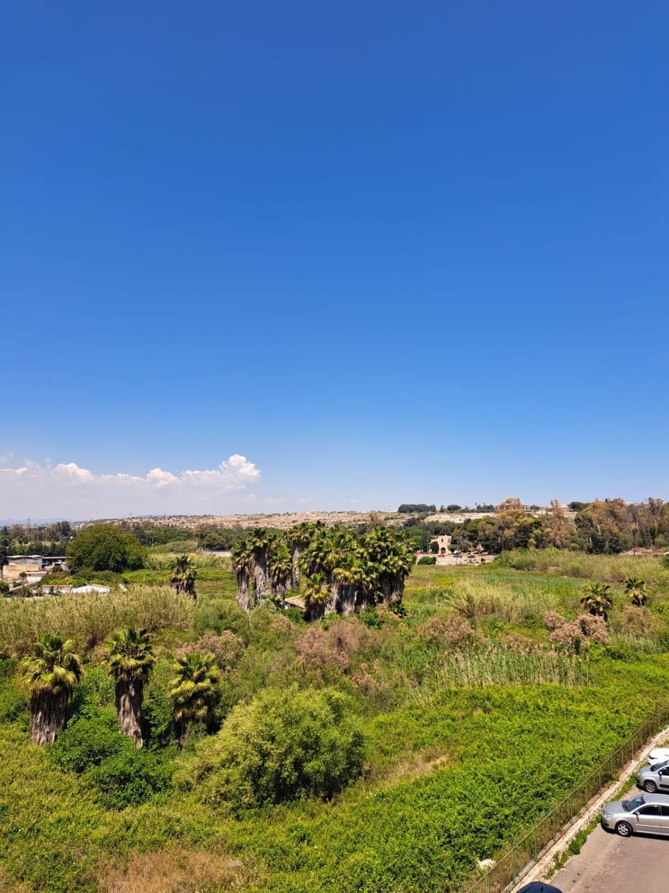 Neighbourhood, Natural landscape