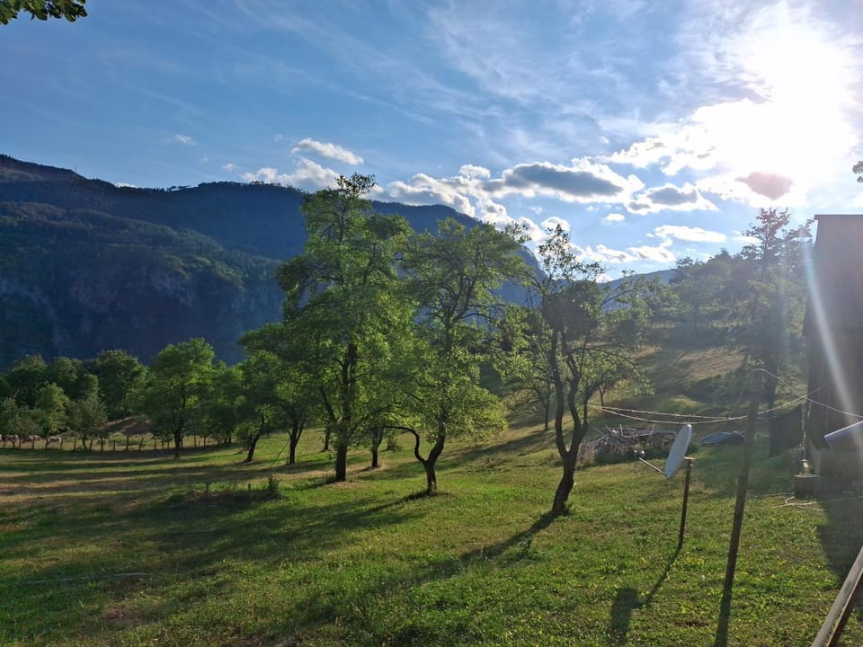 Natural landscape, Garden