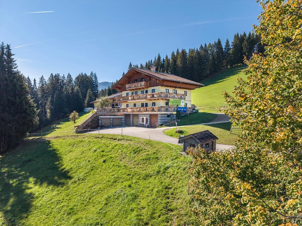 Ferienwohnungen Krapfenalm Apartment in Salzburgerland
