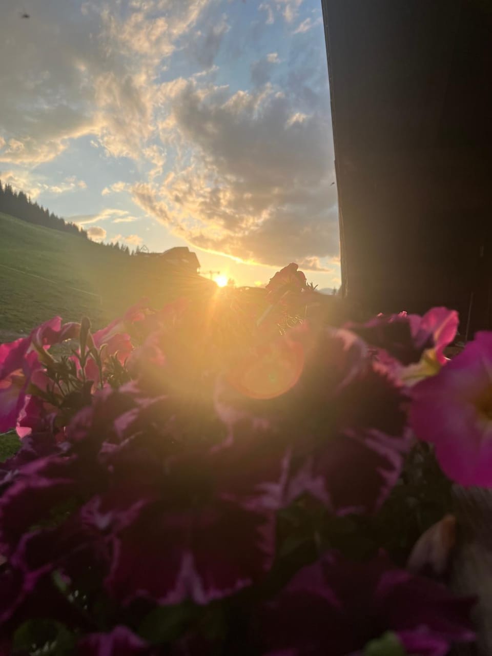 Ferienwohnungen Krapfenalm Apartment in Salzburgerland