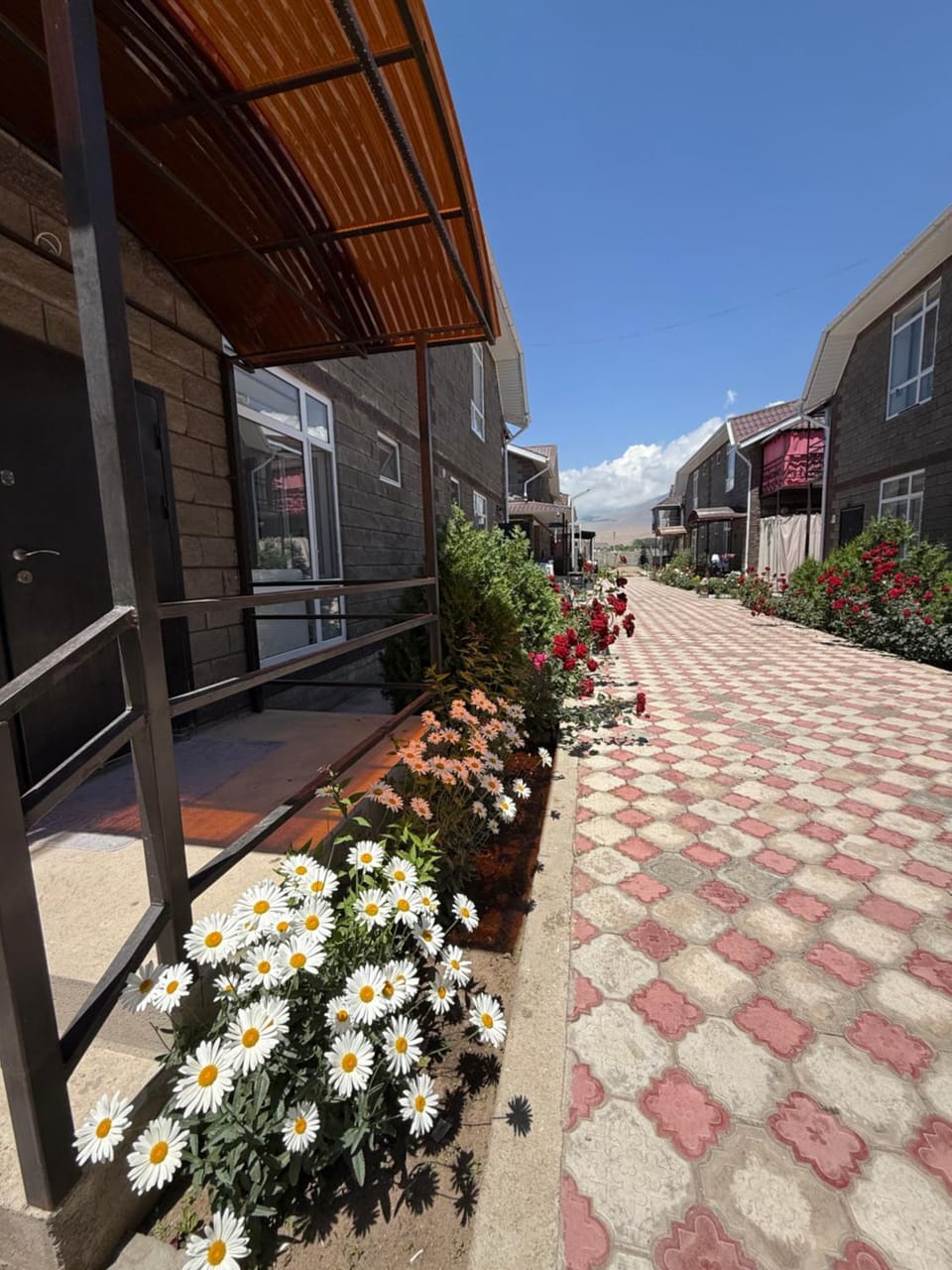 Property building, Neighbourhood, Street view